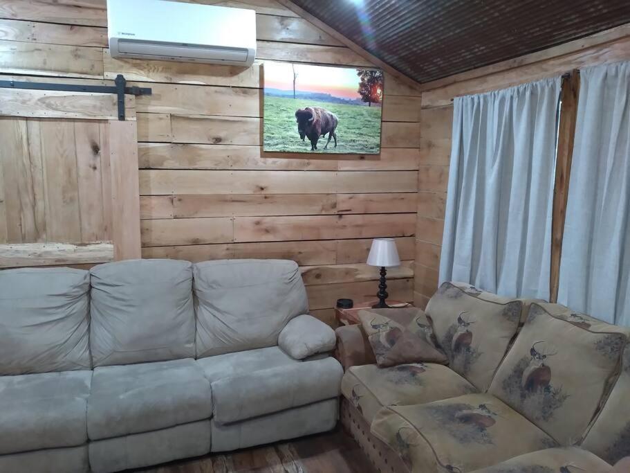 Cabin With A Tree House On A Buffalo Farm . Marshall Extérieur photo